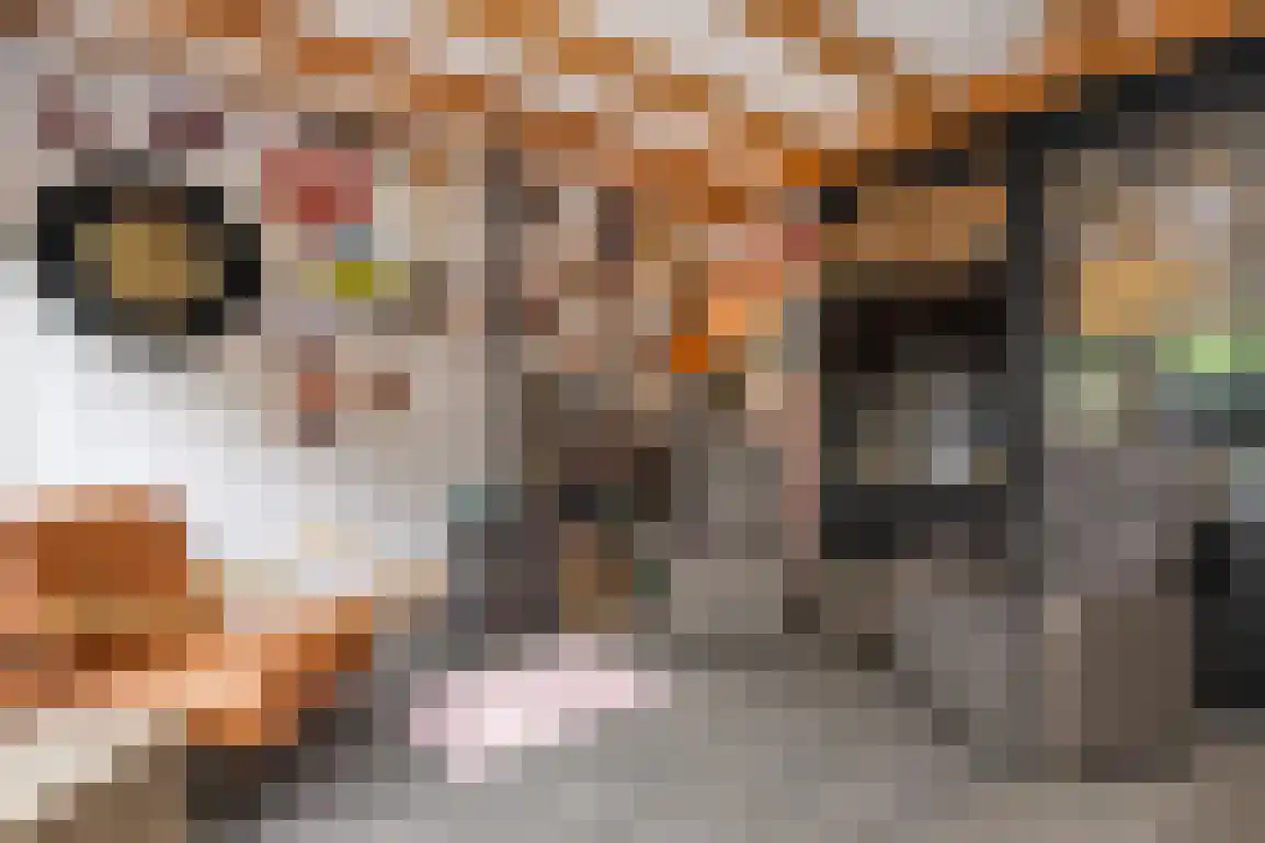 Molentienden 73 Ouddorp thumbnail 13