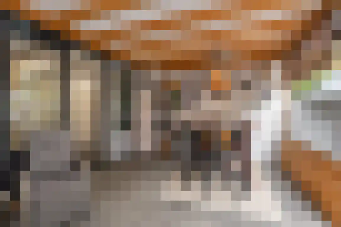 Molentienden 73 Ouddorp thumbnail 16