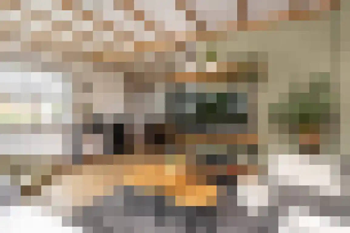 Molentienden 73 Ouddorp thumbnail 19