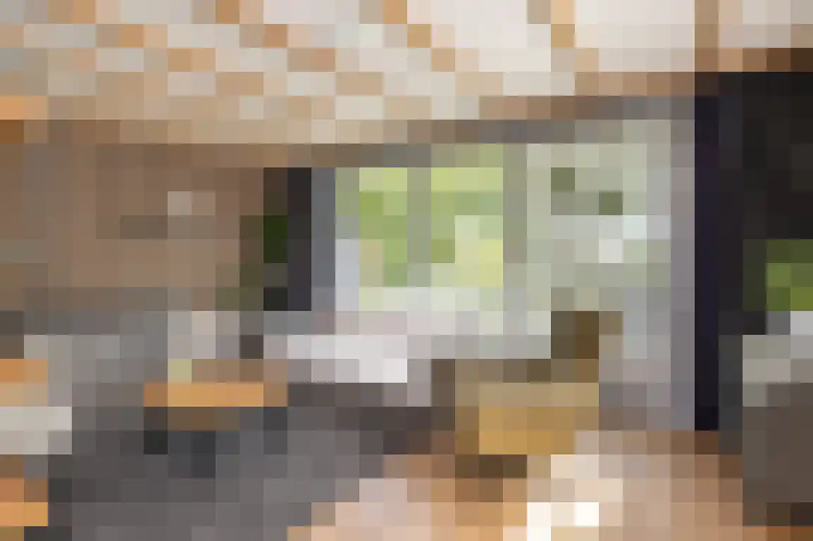 Molentienden 73 Ouddorp thumbnail 20