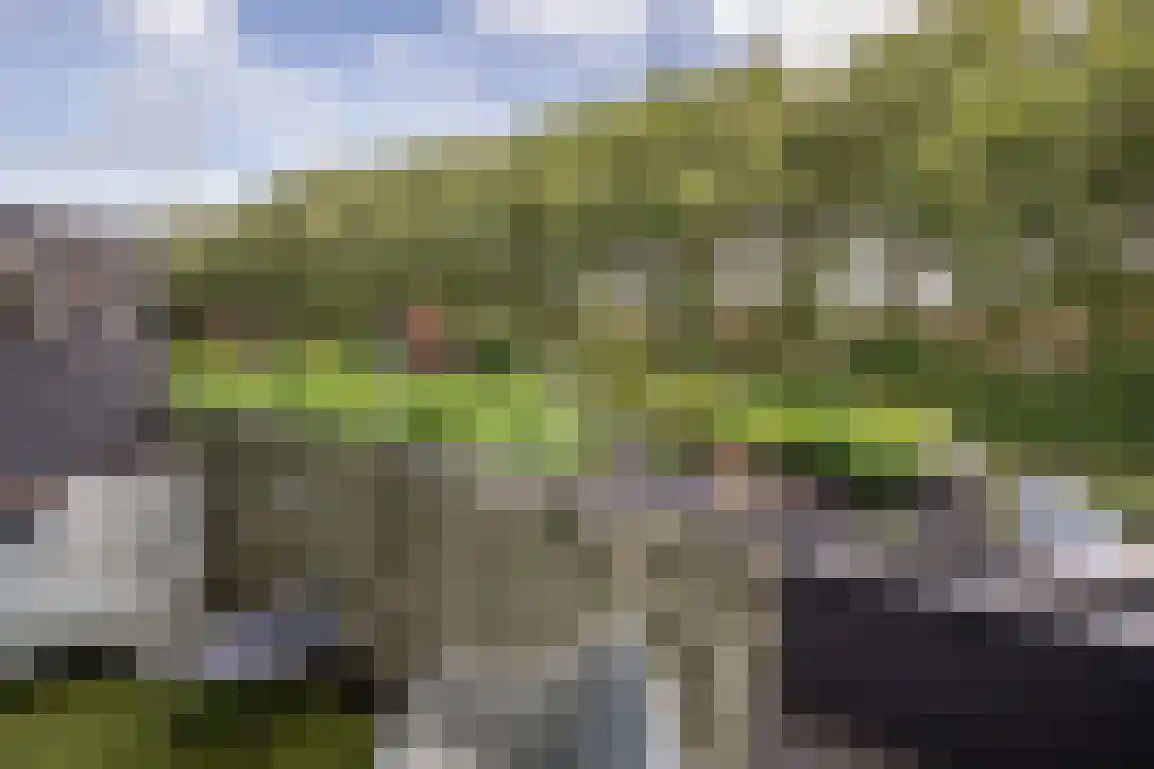 Molentienden 73 Ouddorp thumbnail 21