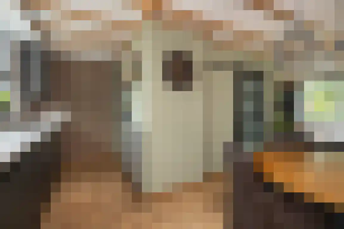 Molentienden 73 Ouddorp thumbnail 24