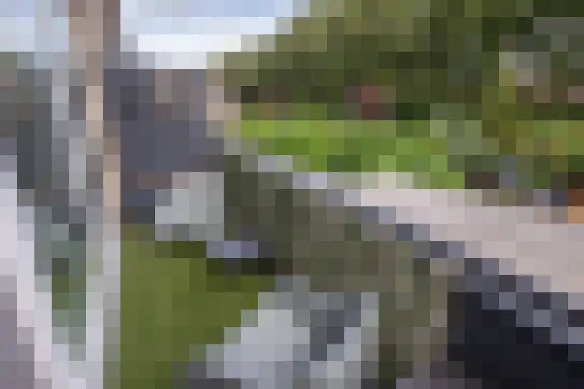 Molentienden 73 Ouddorp thumbnail 27
