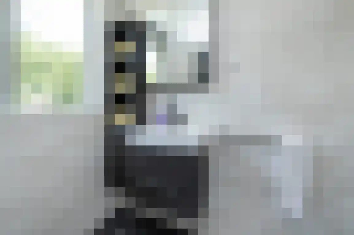 Molentienden 73 Ouddorp thumbnail 31