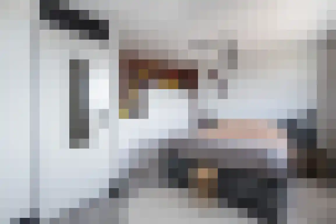 Molentienden 73 Ouddorp thumbnail 36
