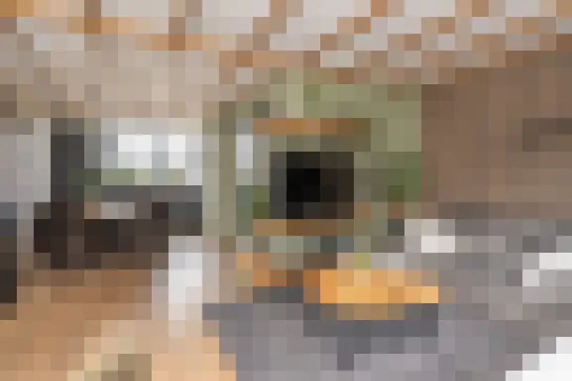 Molentienden 73 Ouddorp thumbnail 4