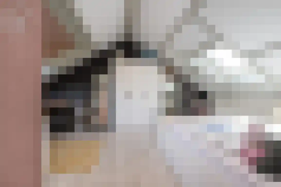 Molentienden 73 Ouddorp thumbnail 40
