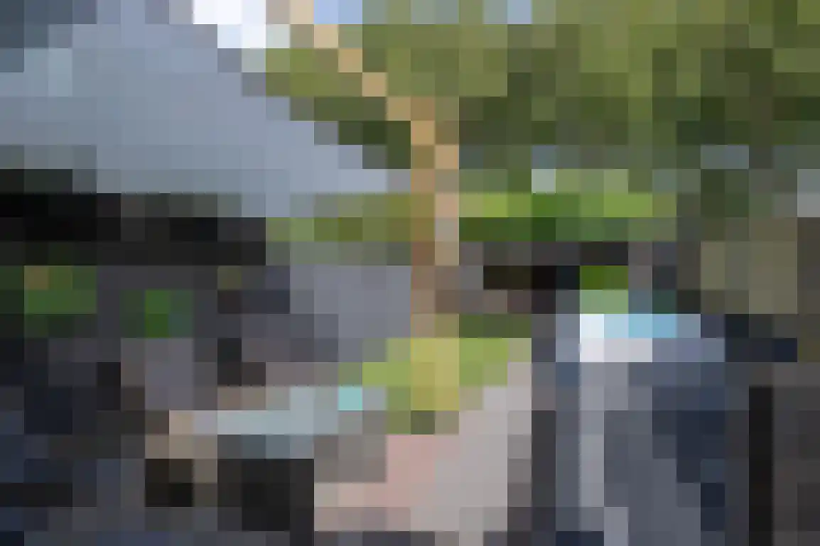 Molentienden 73 Ouddorp thumbnail 43