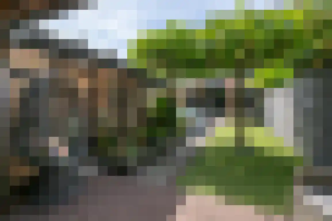 Molentienden 73 Ouddorp thumbnail 44