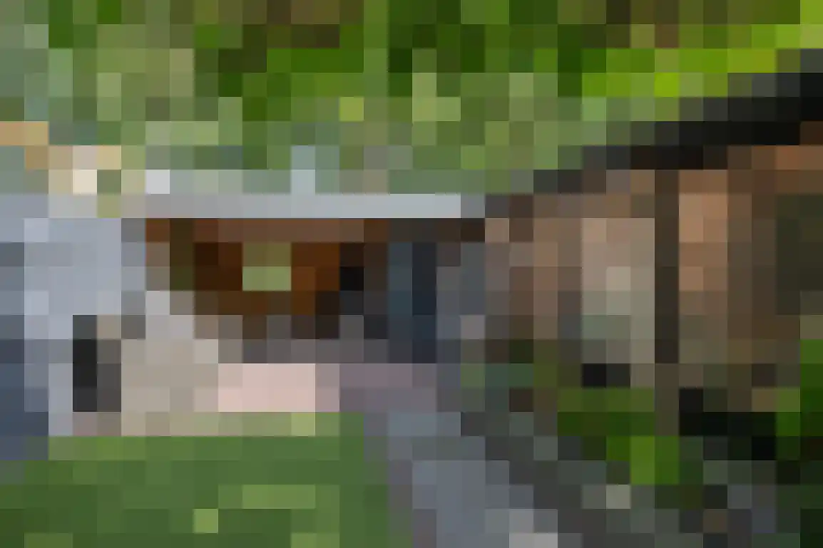 Molentienden 73 Ouddorp thumbnail 46