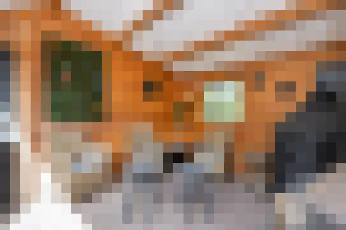 Molentienden 73 Ouddorp thumbnail 47