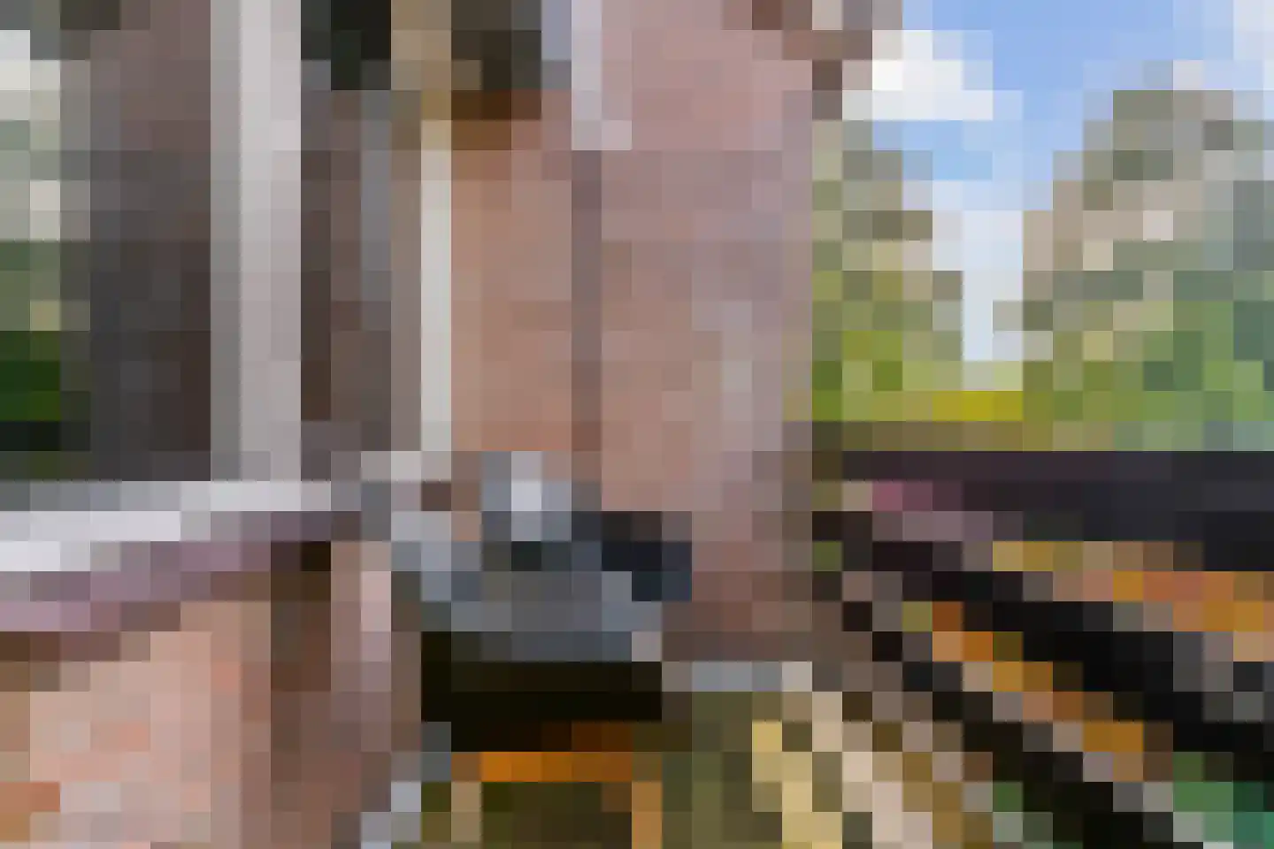 Molentocht 12 Kamerik thumbnail 18