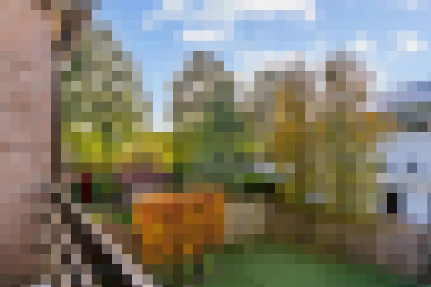 Molentocht 12 Kamerik thumbnail 20