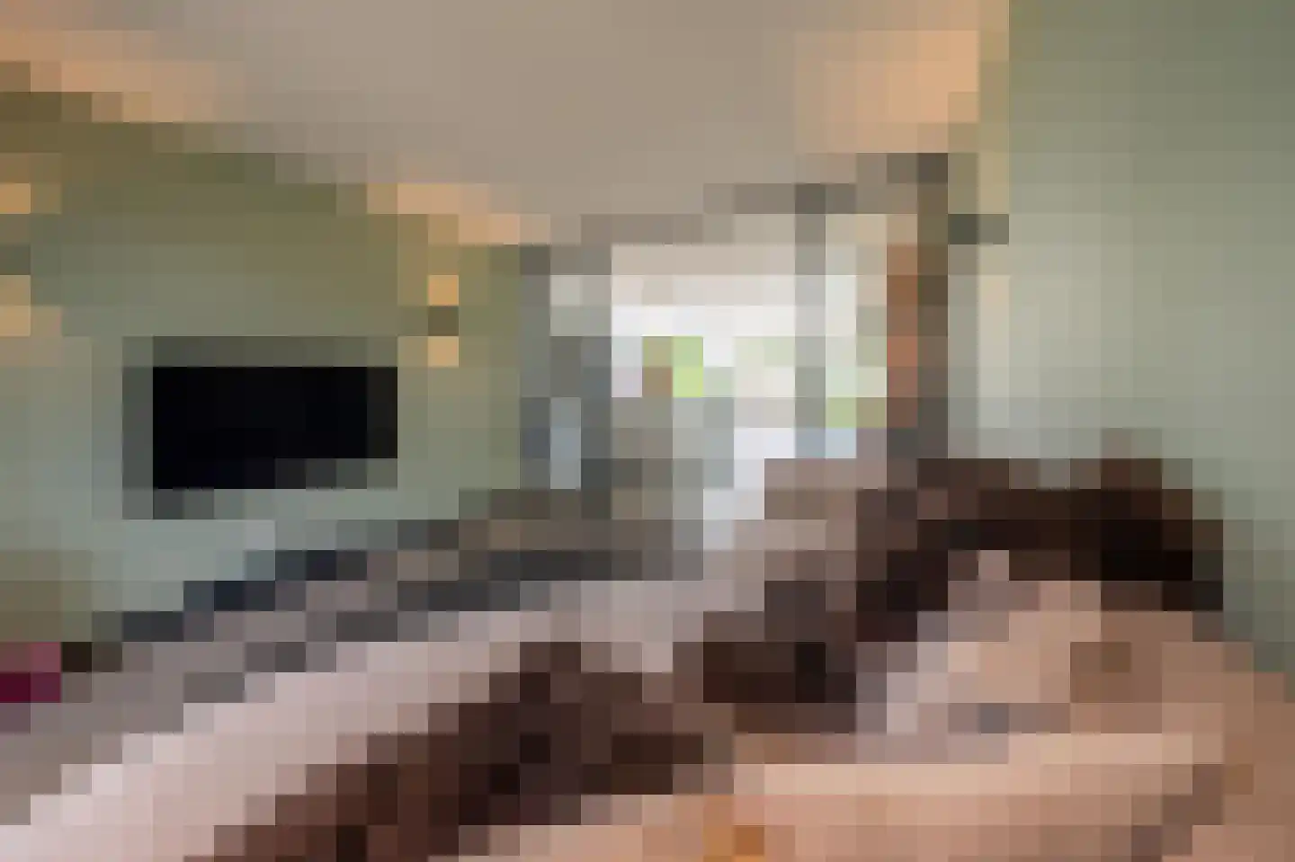 Molentocht 34 Linschoten thumbnail 11