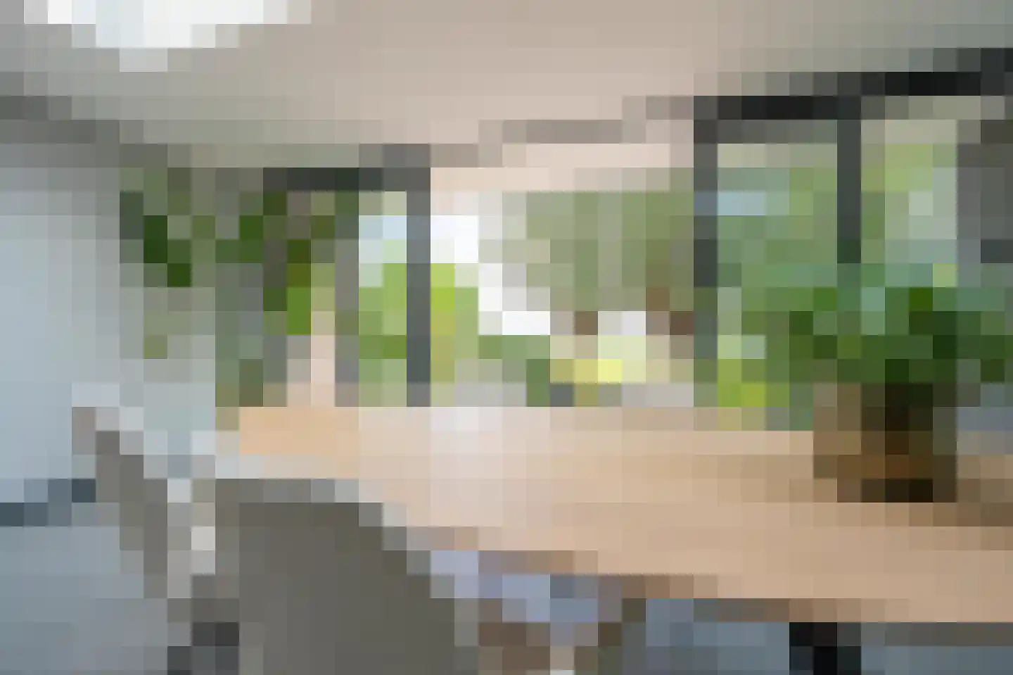Molentocht 34 Linschoten thumbnail 13
