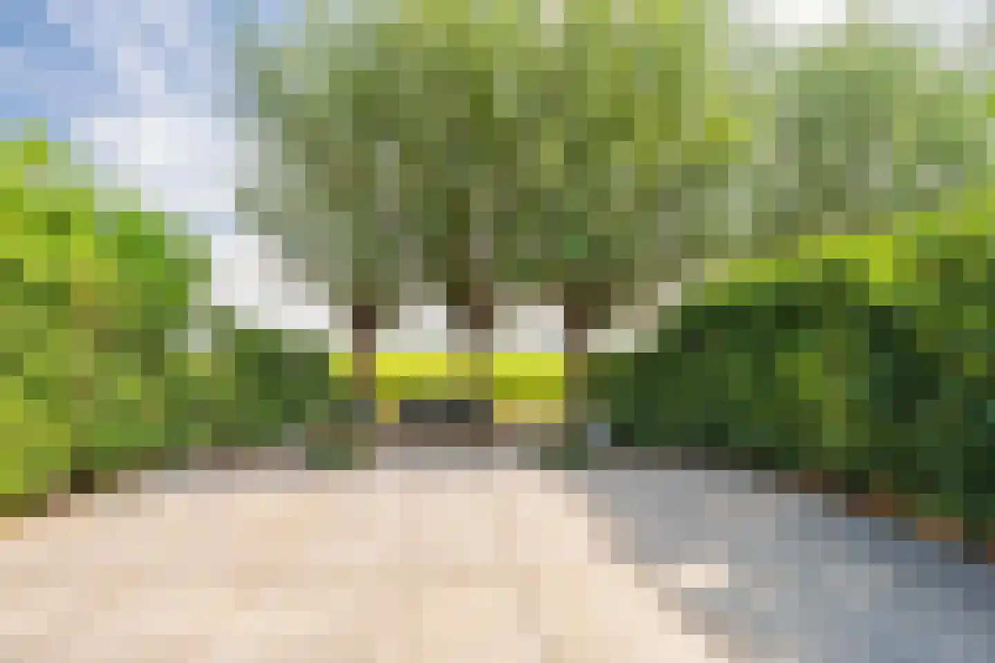 Molentocht 34 Linschoten thumbnail 16