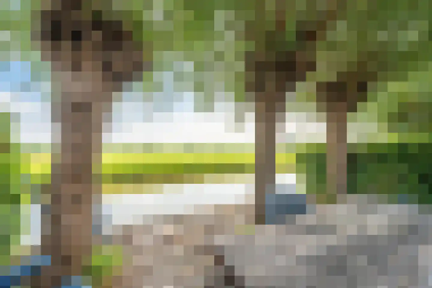 Molentocht 34 Linschoten thumbnail 17