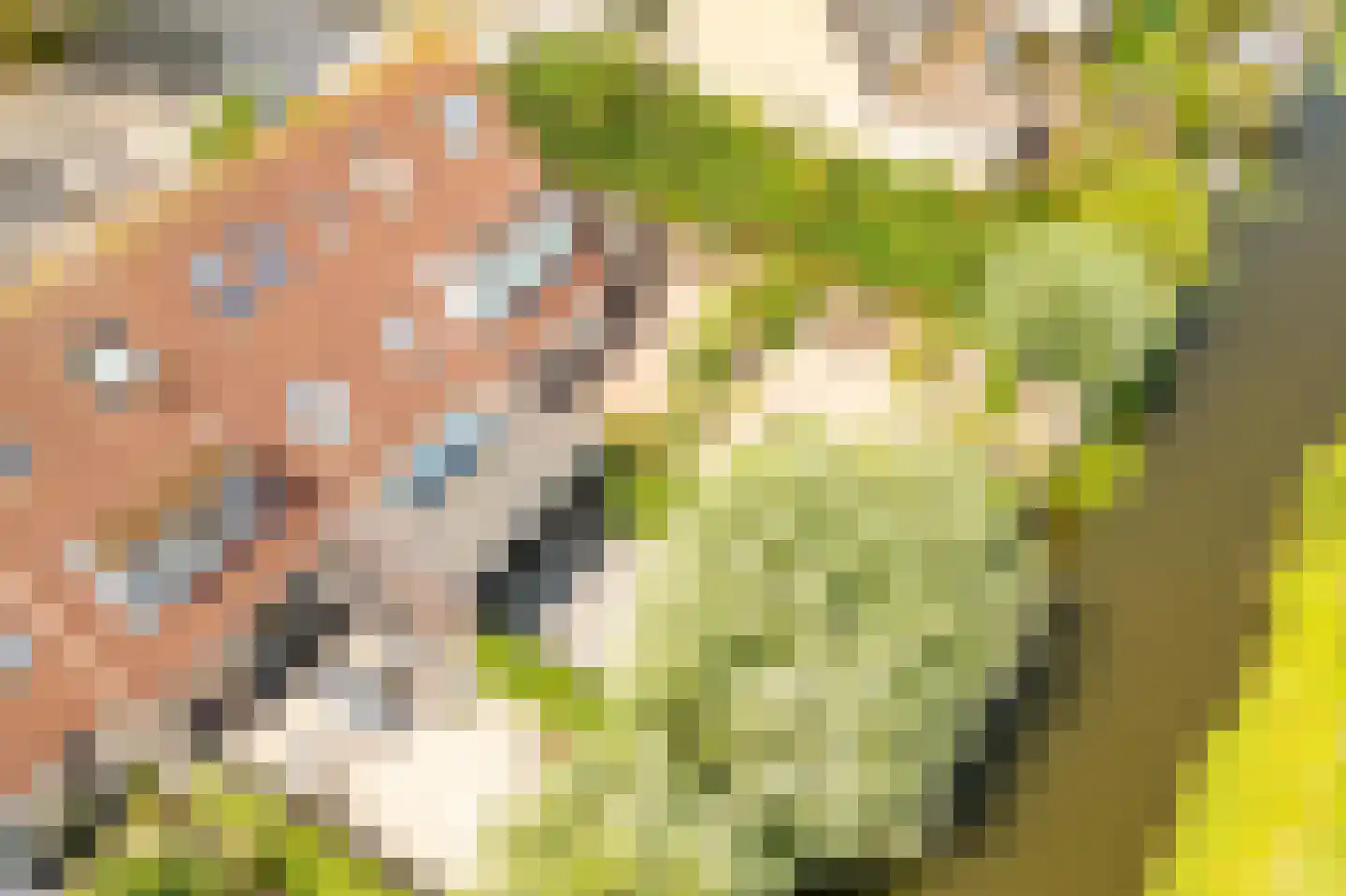 Molentocht 34 Linschoten thumbnail 19
