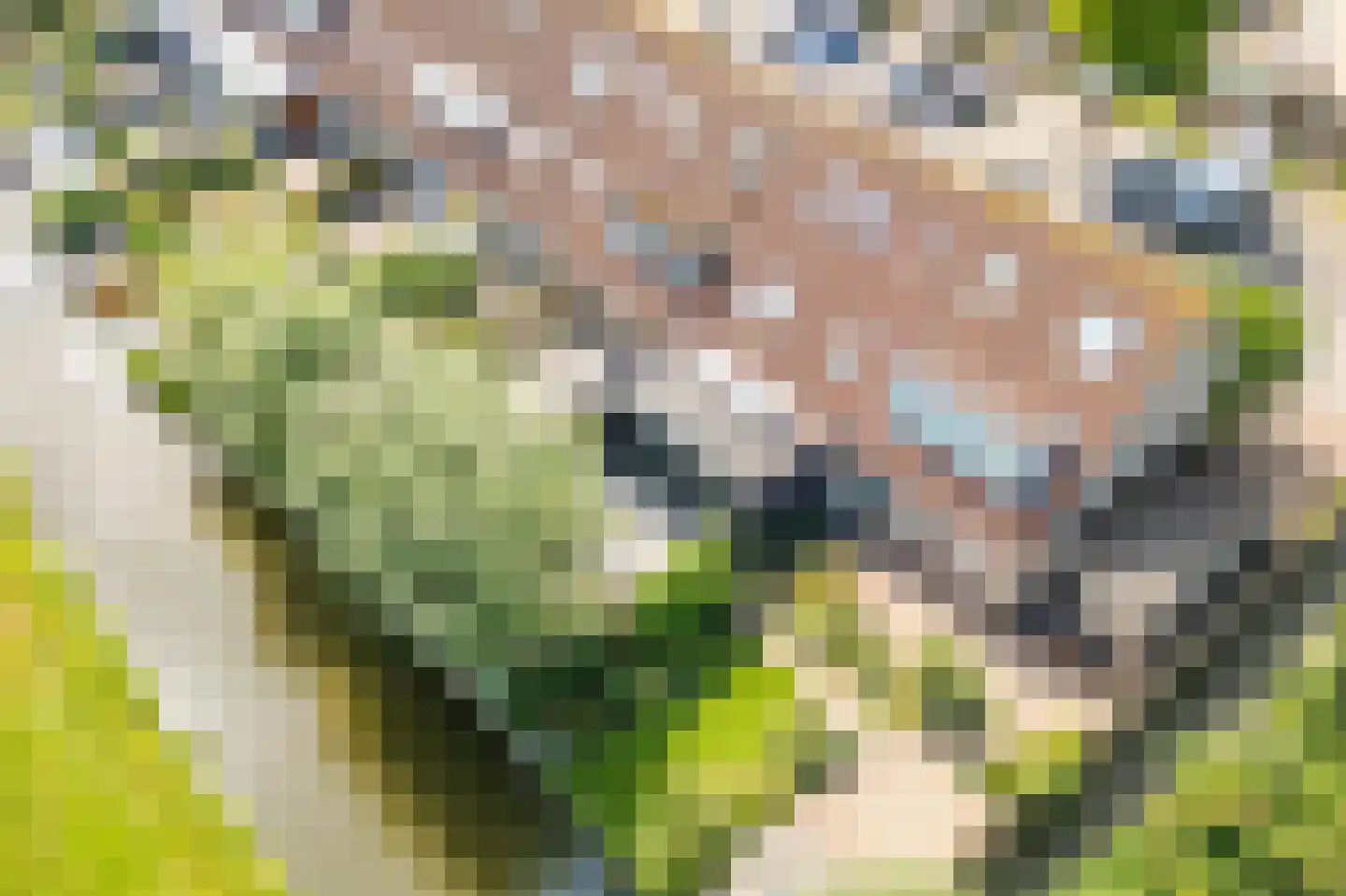 Molentocht 34 Linschoten thumbnail 40