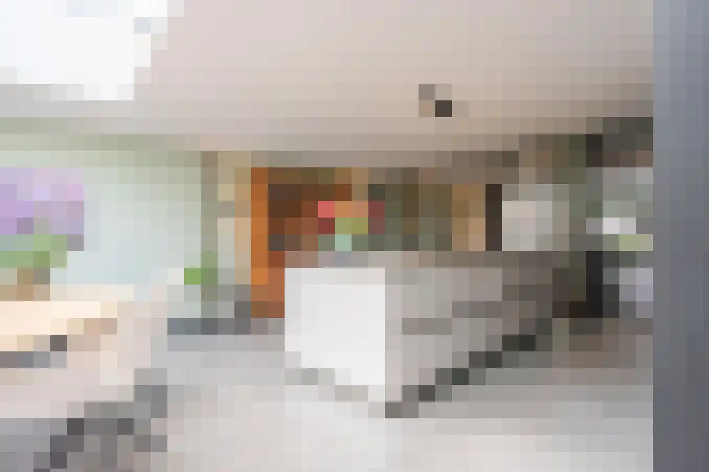 Molentocht 34 Linschoten thumbnail 7