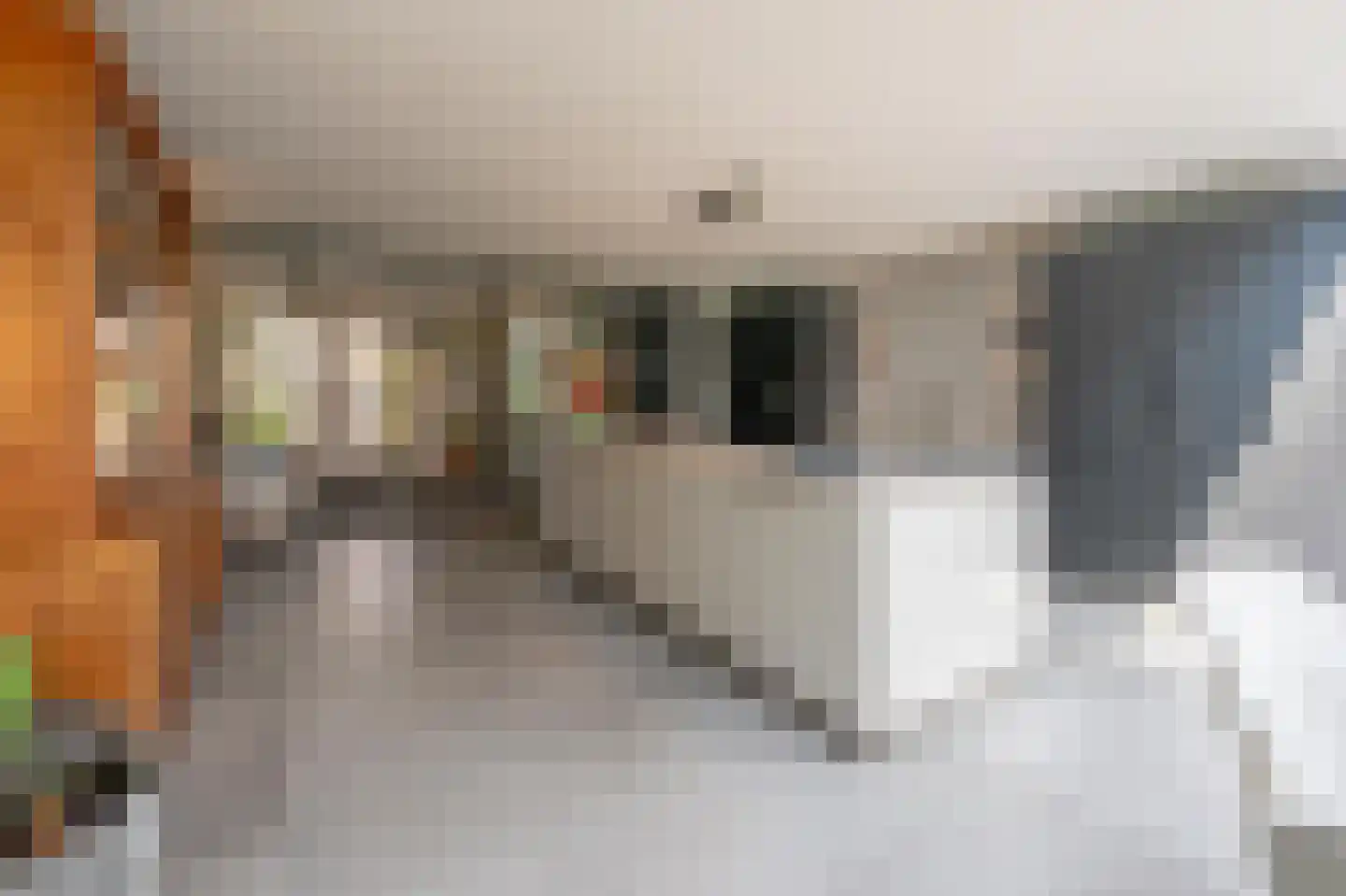 Molentocht 34 Linschoten thumbnail 8