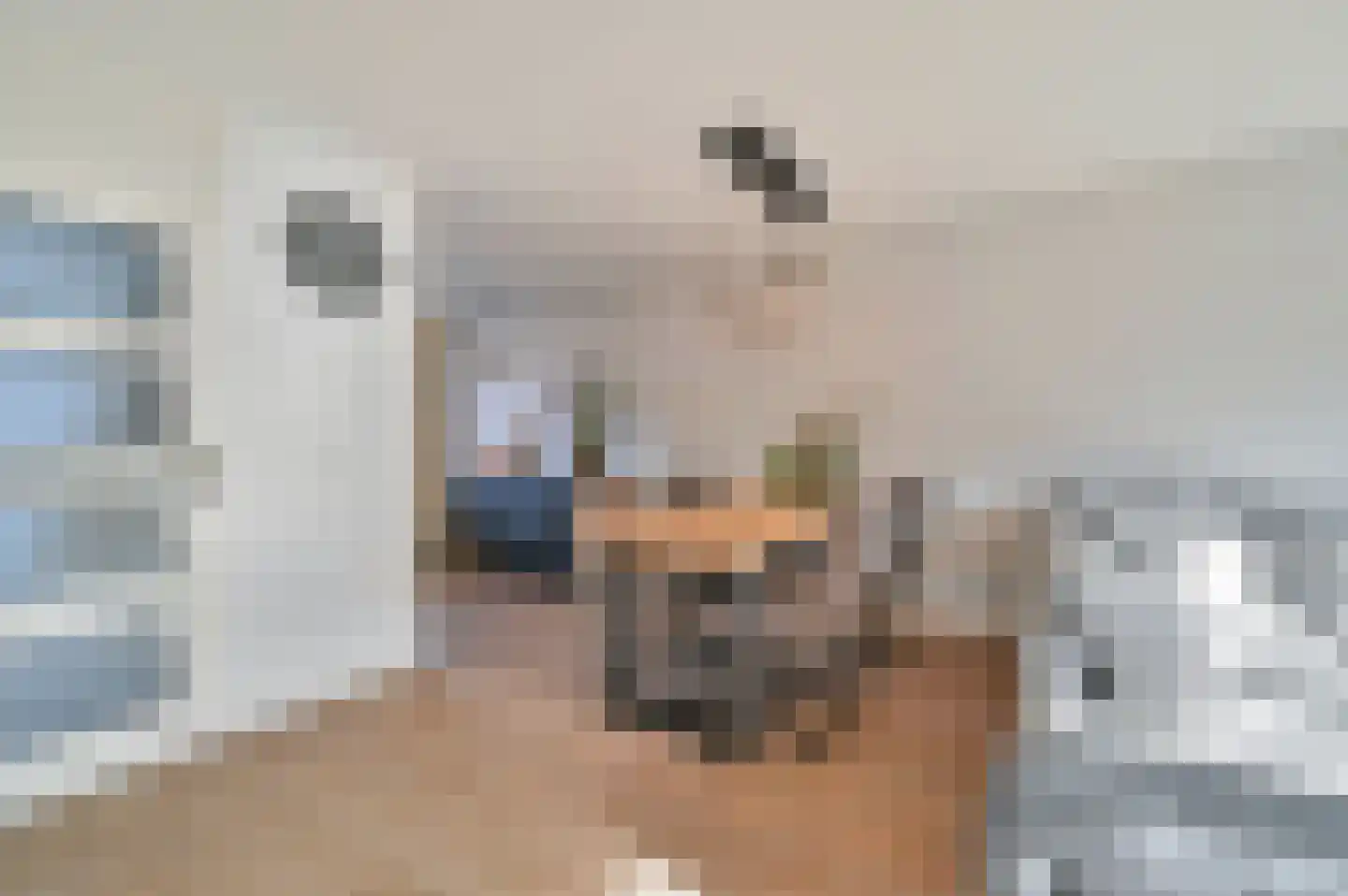 Molentocht 8 Linschoten thumbnail 10