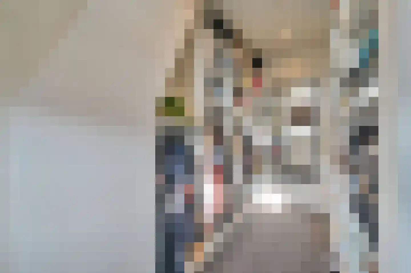 Molentocht 8 Linschoten thumbnail 16