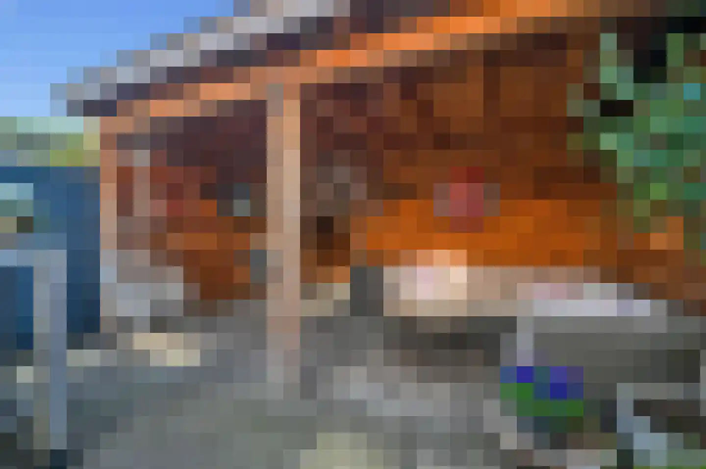 Molentocht 8 Linschoten thumbnail 28