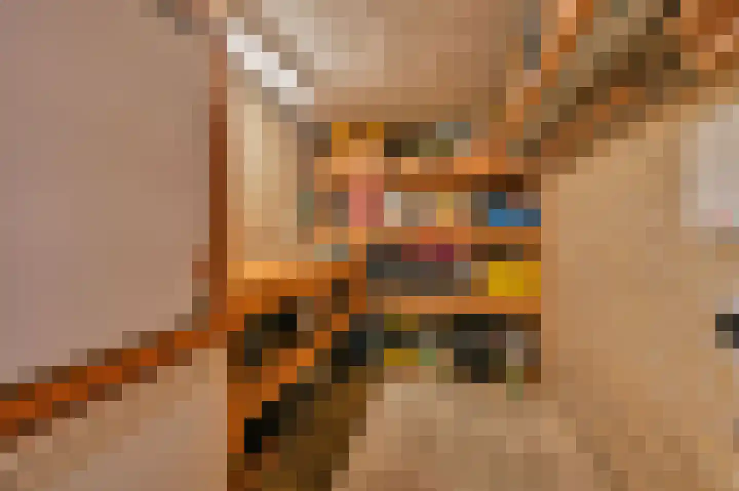 Molentocht 8 Linschoten thumbnail 31