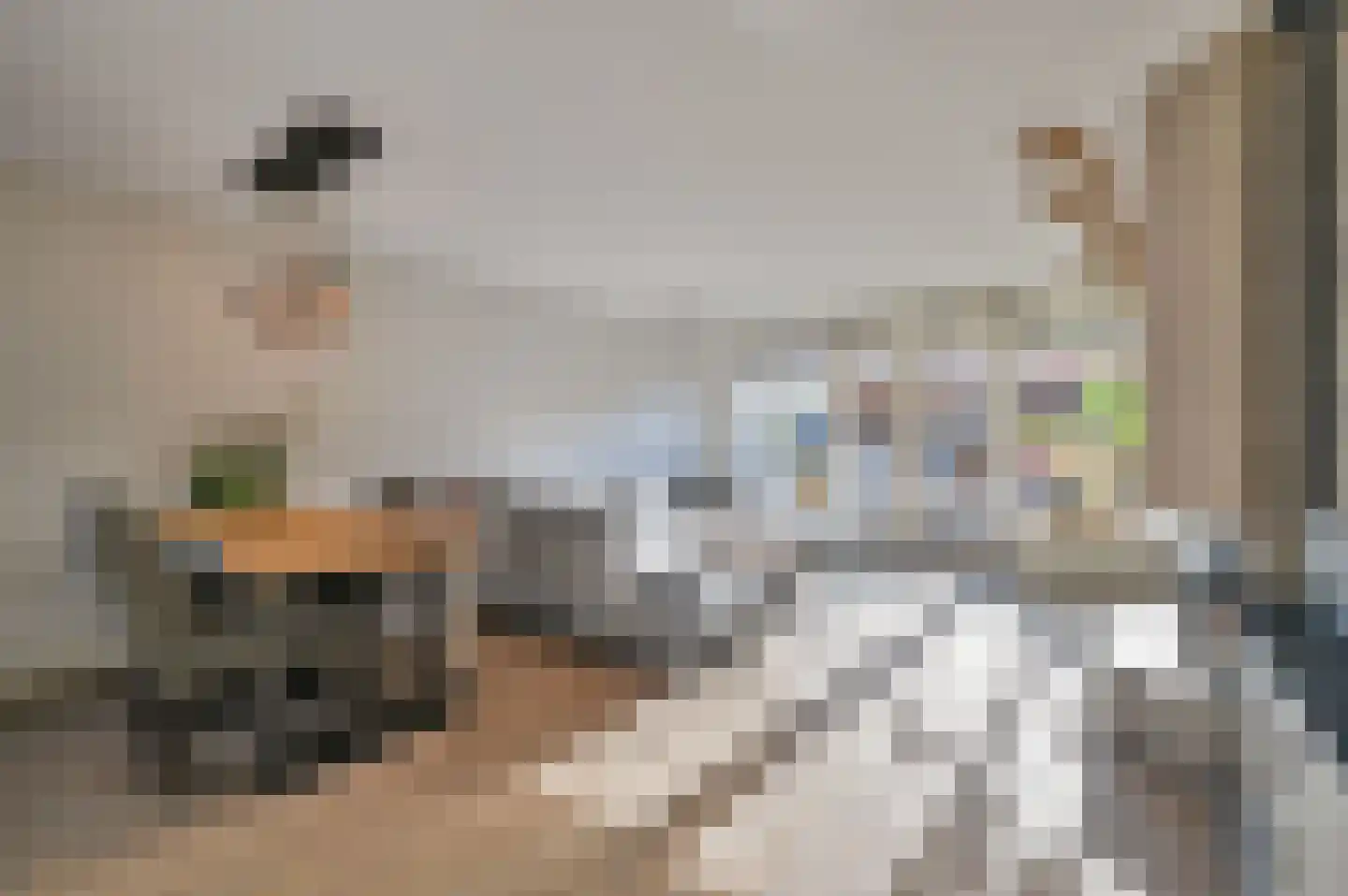 Molentocht 8 Linschoten thumbnail 5