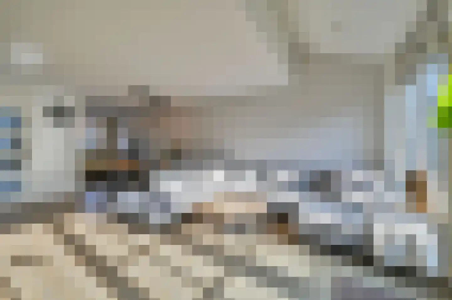 Molentocht 8 Linschoten thumbnail 6