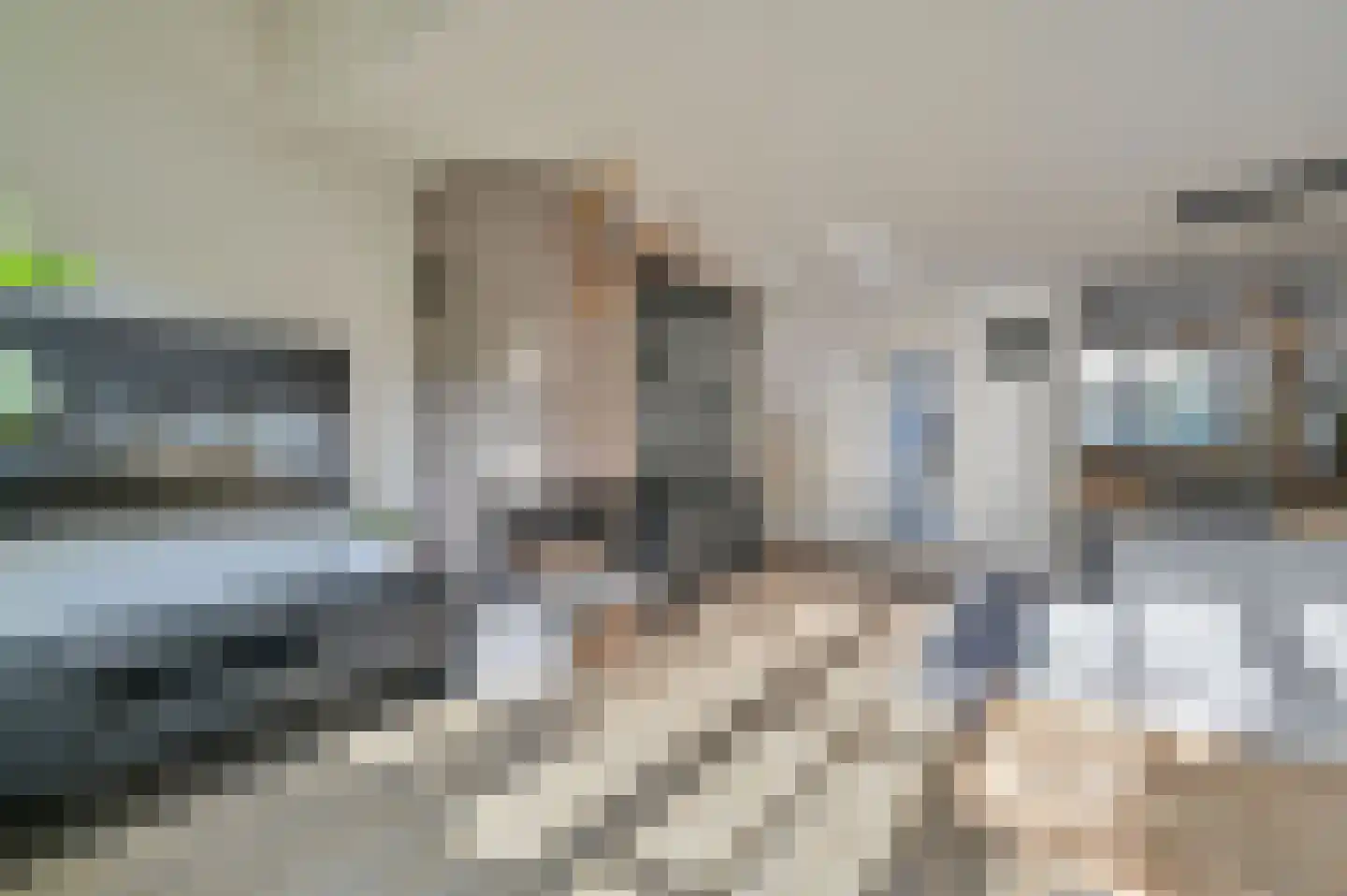 Molentocht 8 Linschoten thumbnail 7