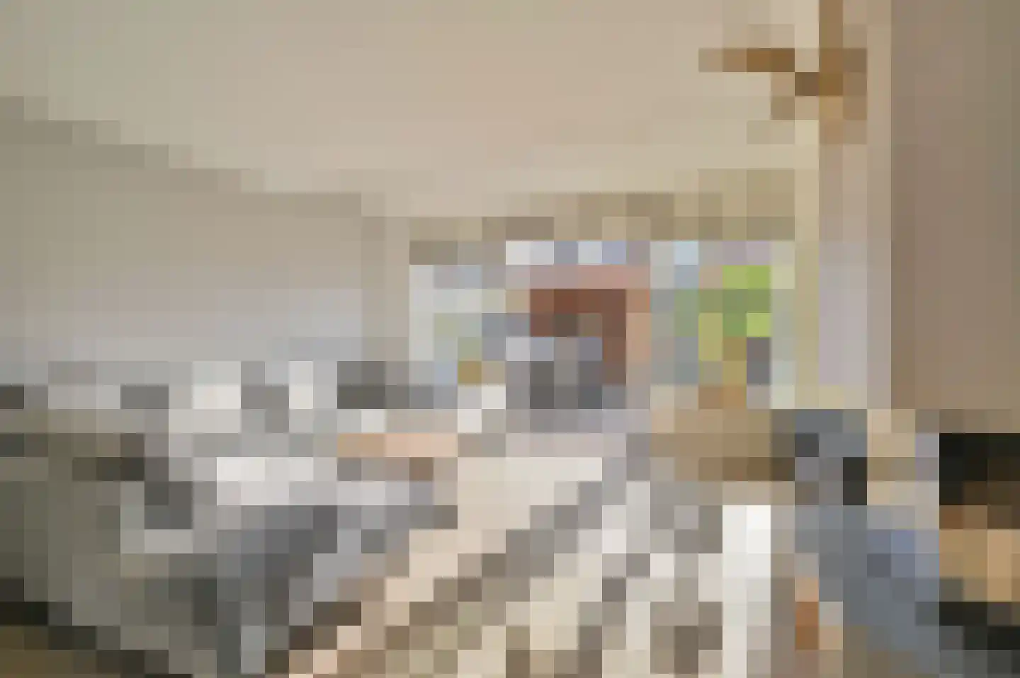 Molentocht 8 Linschoten thumbnail 8