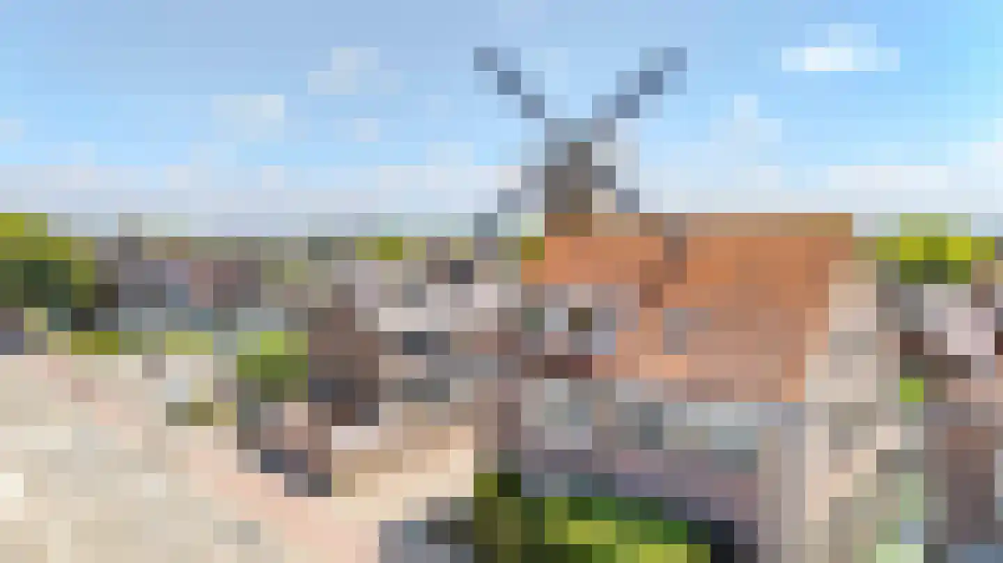 Molentuinweg 7 Katwijk thumbnail 8