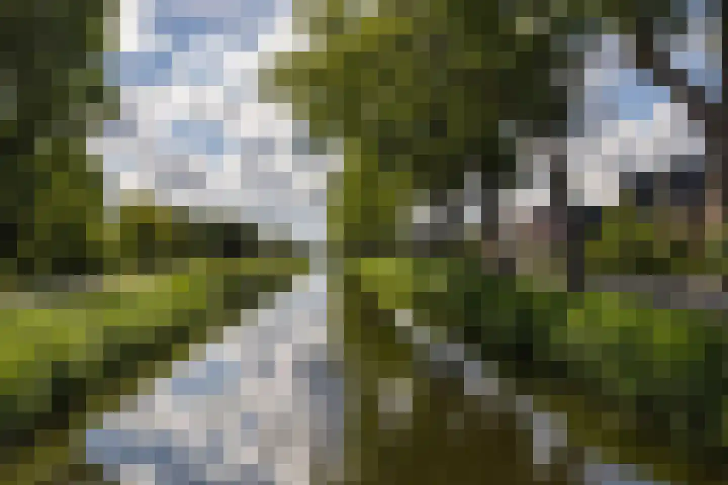 Molenvaart 232 Breezand thumbnail 31
