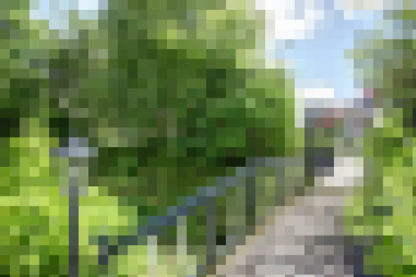 Molenvaart 244 Breezand thumbnail 67