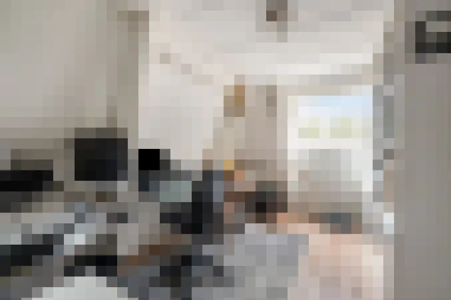 Molenvaart 4 Anna Paulowna thumbnail 36