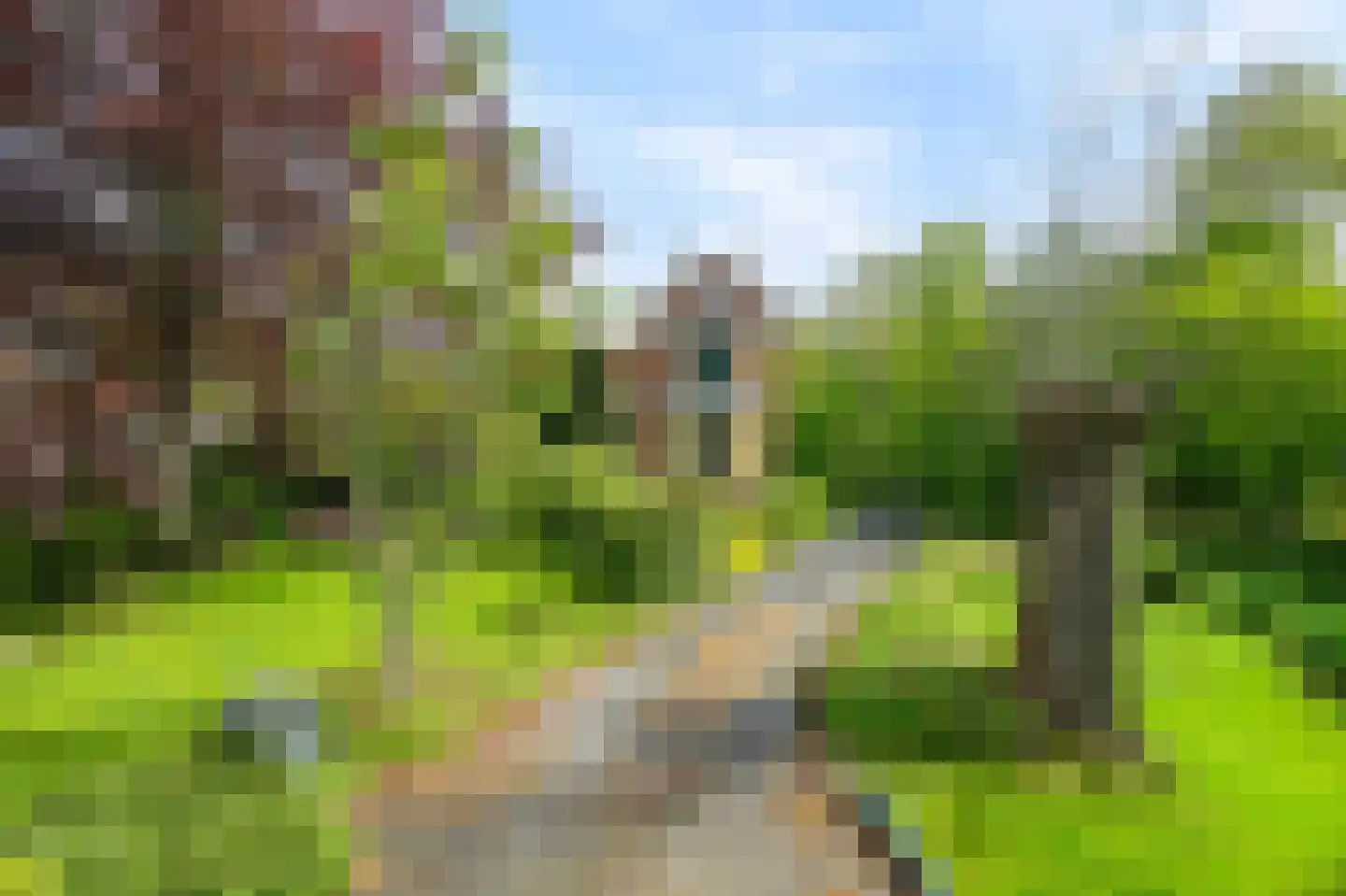 Molenvaart 4 Anna Paulowna thumbnail 4