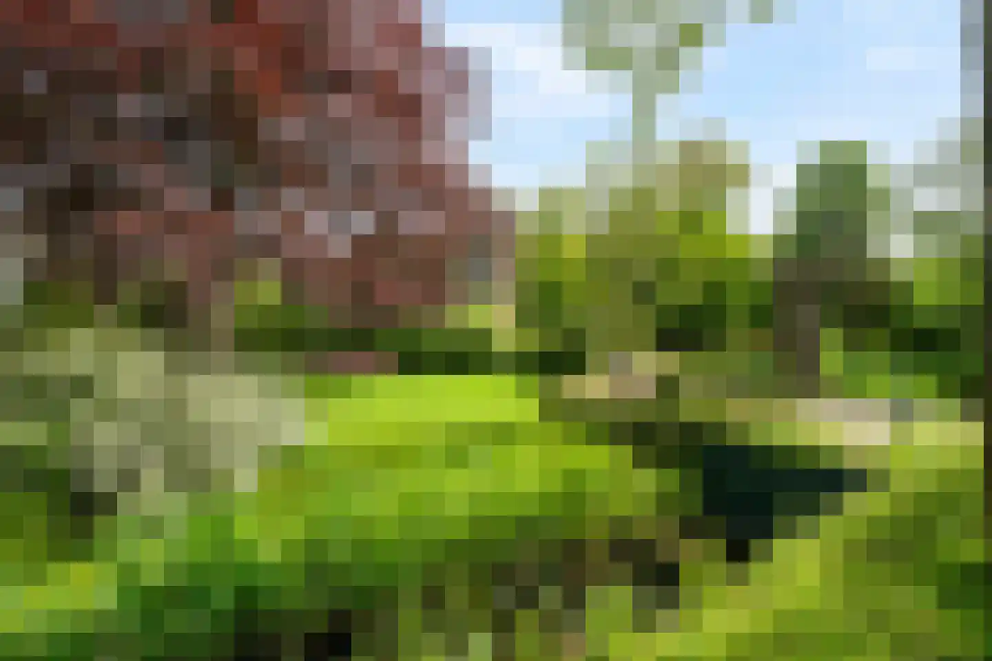 Molenvaart 4 Anna Paulowna thumbnail 5