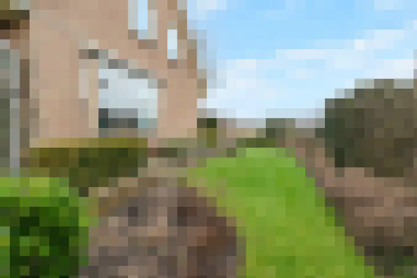 Molenvaart 463 Breezand thumbnail 11