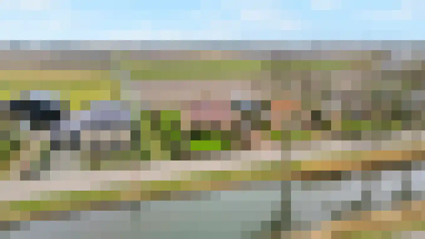 Molenvaart 463 Breezand thumbnail 4