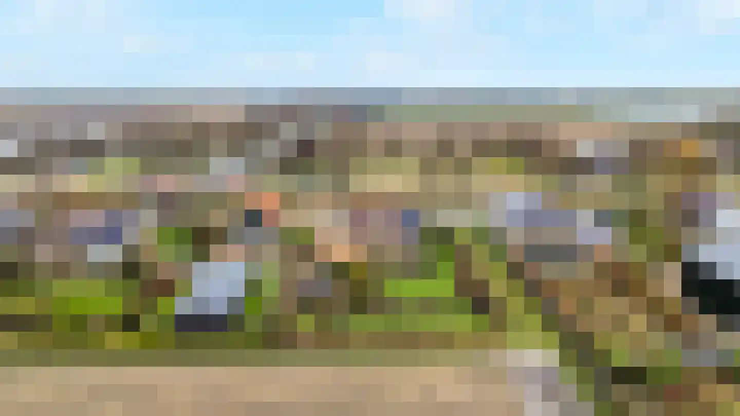 Molenvaart 463 Breezand thumbnail 6