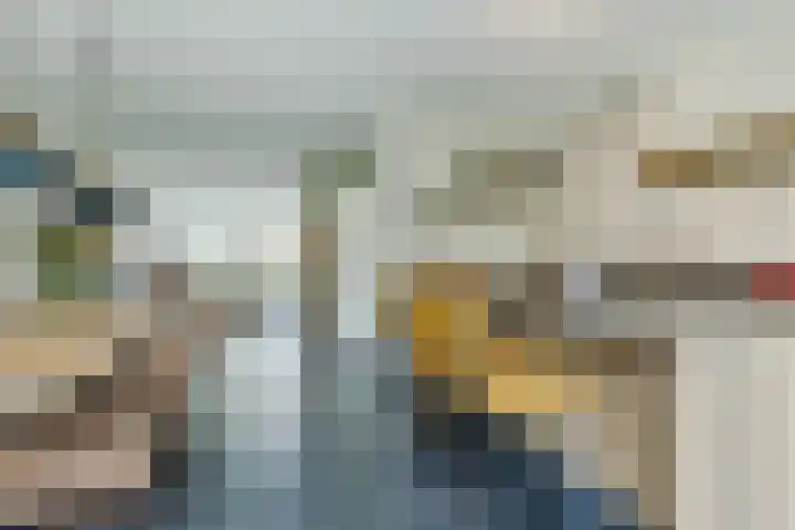 Molenvaartje 21 's Gravenmoer thumbnail 11