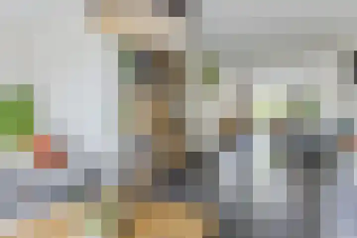 Molenvaartje 21 's Gravenmoer thumbnail 12