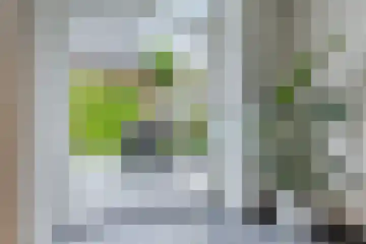 Molenvaartje 21 's Gravenmoer thumbnail 13