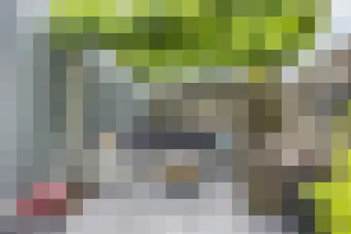 Molenvaartje 21 's Gravenmoer thumbnail 15