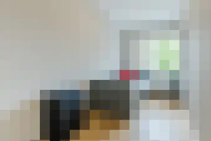 Molenvaartje 21 's Gravenmoer thumbnail 20