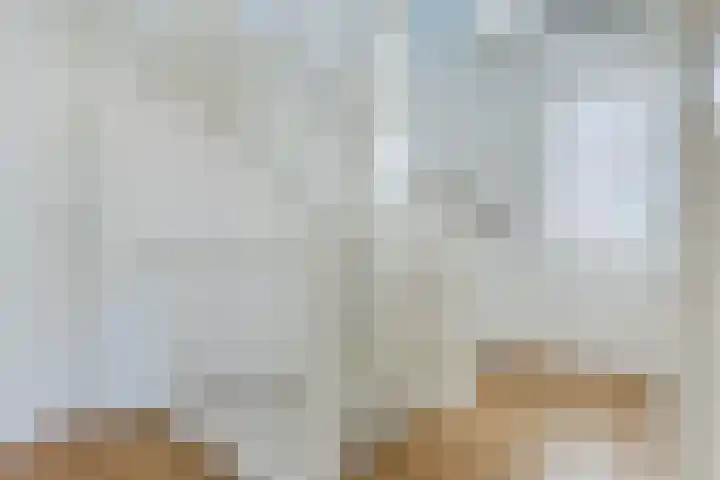 Molenvaartje 21 's Gravenmoer thumbnail 27