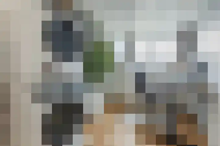 Molenvaartje 21 's Gravenmoer thumbnail 28