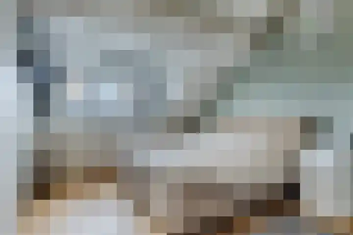 Molenvaartje 21 's Gravenmoer thumbnail 30
